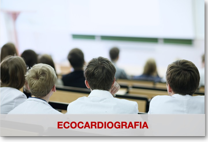 Bottone Aula Eco
