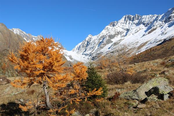 Montagna Autunno