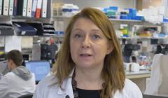 Buone Notizie Barbieri