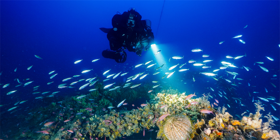 Cartolina Monzino Sport (Banner Medio (USA, Orizzontale))