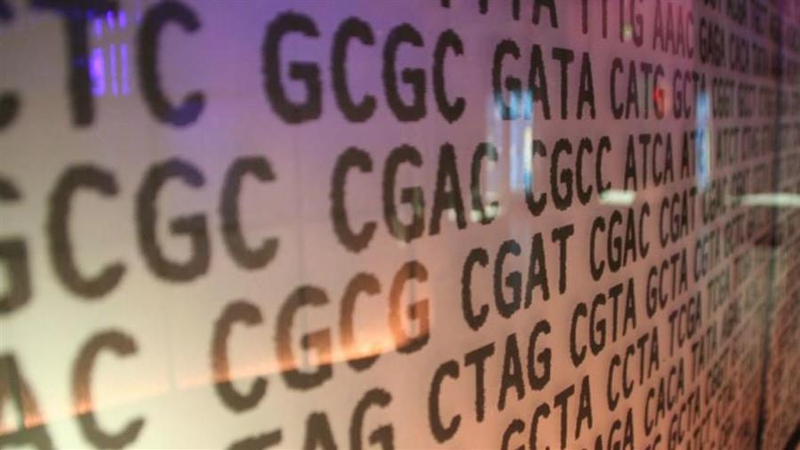 Interpretazione Test