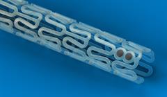 Scaffold - Stent