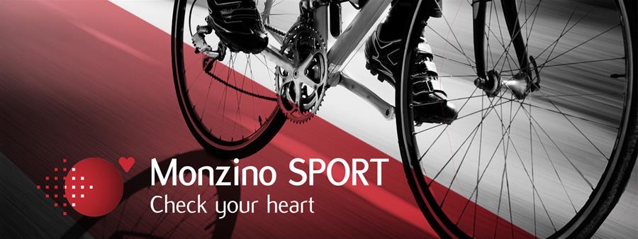 Monzino Banner SPORT 04New