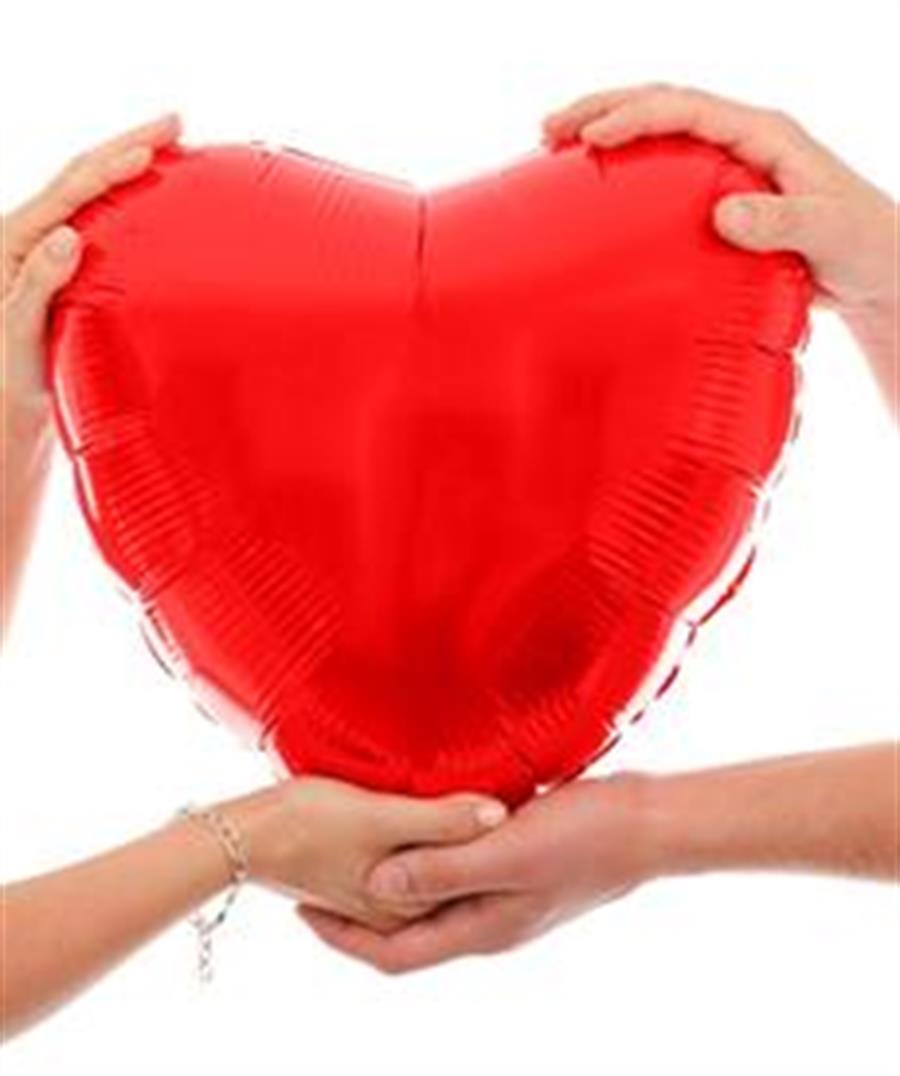 B090d700 2309 4683 8D9b A23fe3106006 Buddy