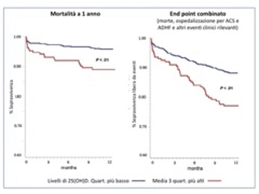 Vit D Risultati Small