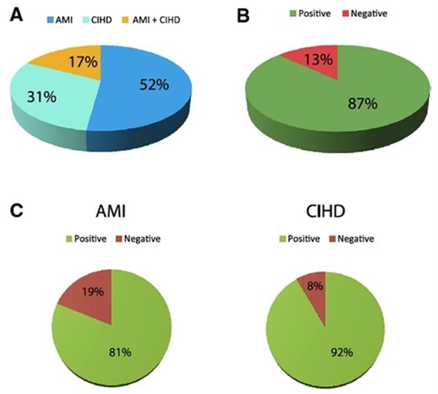 MA Cardiac BM Ctherapy
