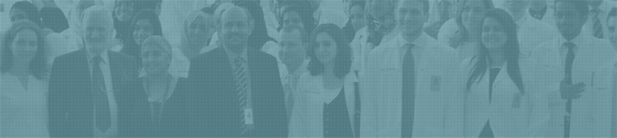 Schermata 2016 12 06 Alle 15