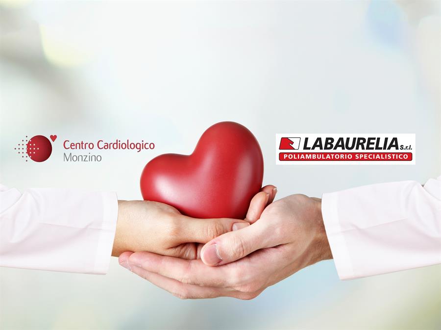 Monzino + Lab Aurelia